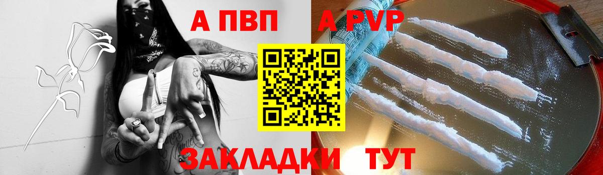 A-PVP СК Сальск
