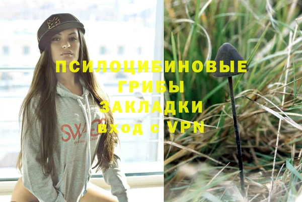 ECSTASY Абаза