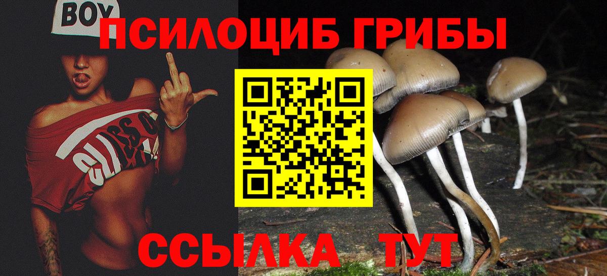 Галлюциногенные грибы прущие грибы  Вход с VPN  Сальск 