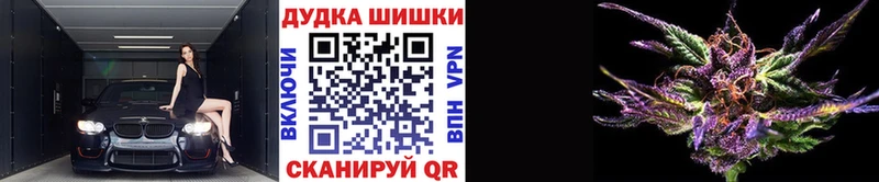 mega как войти  Сальск  Бошки марихуана гибрид 