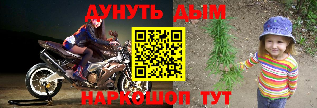 Конопля индика Сальск